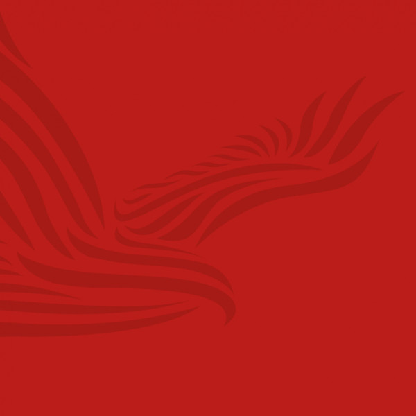 Red Kite Learning Trust logo block