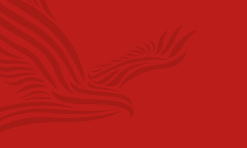 Red Kite Learning Trust logo block